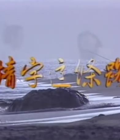 情字这条路